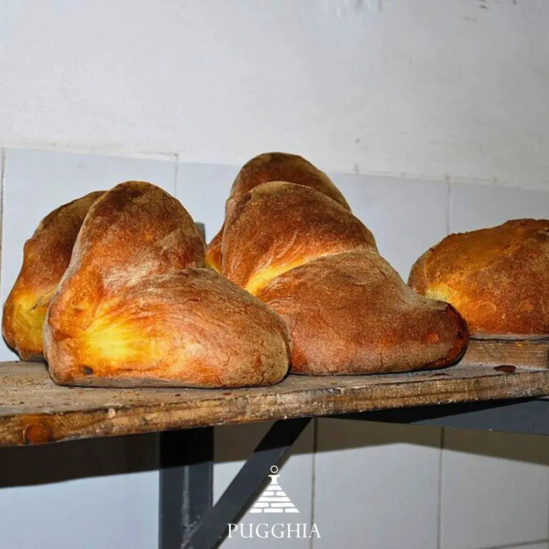 Pane-di-Altamura-patrimonio-UNESCO-e-simbolo-della-Puglia Pugghia