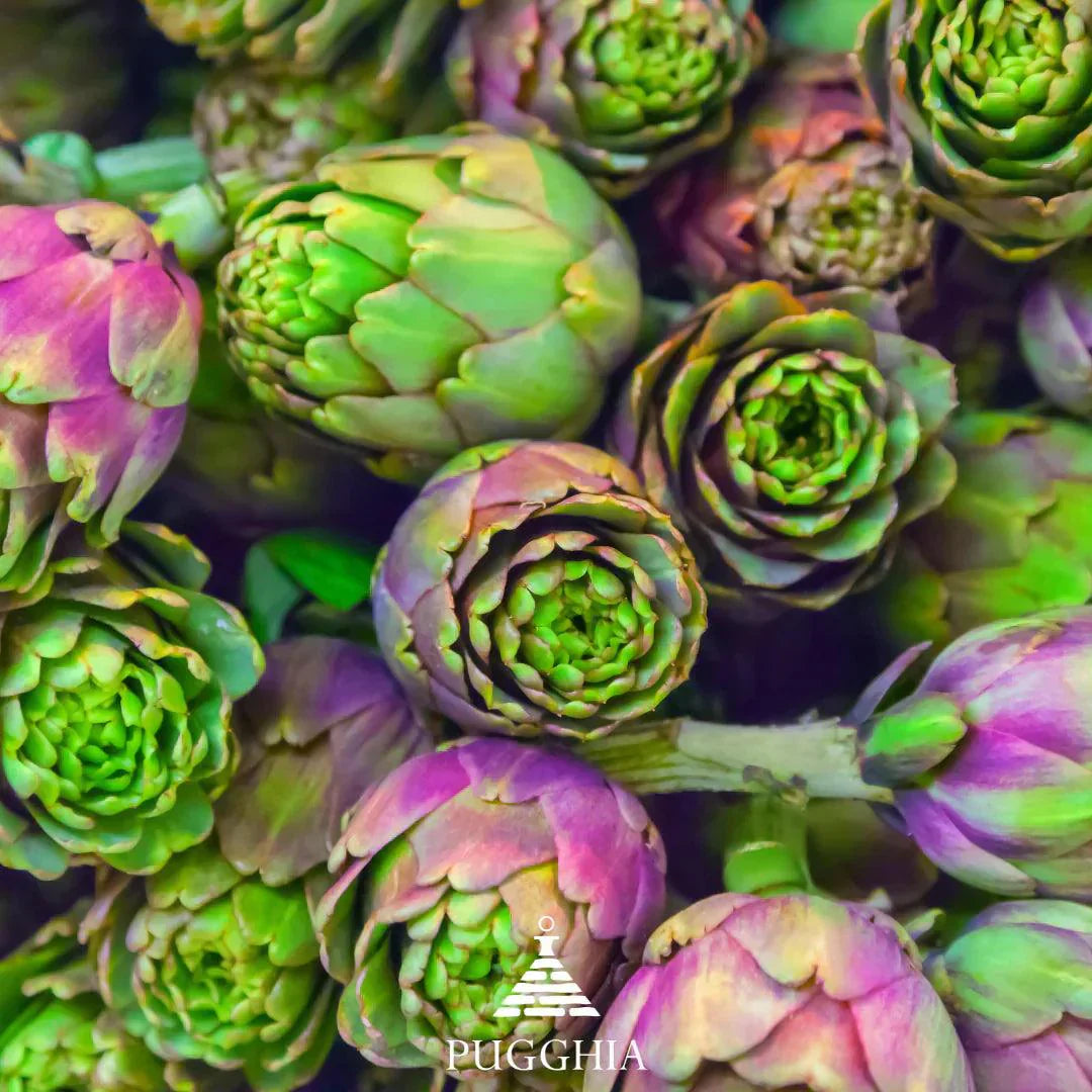 carciofi