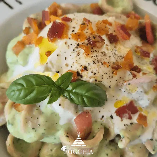 Orecchiette al vino con zucchine e burrata