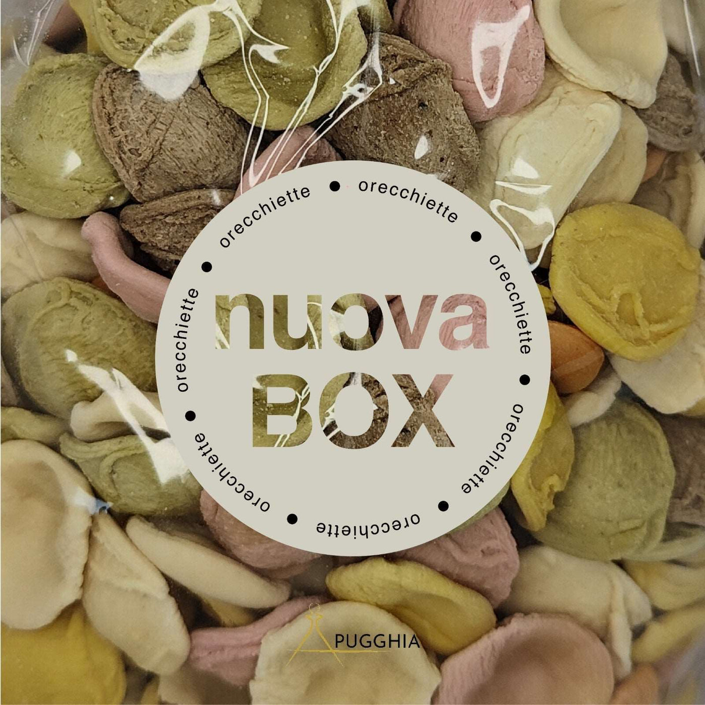 BOX ORECCHIETTE Pugghia | Pugghia